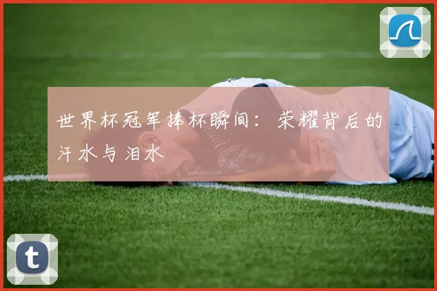 世界杯冠军捧杯瞬间：荣耀背后的汗水与泪水