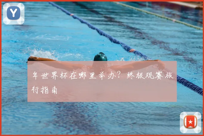 年世界杯在哪里举办？终极观赛旅行指南