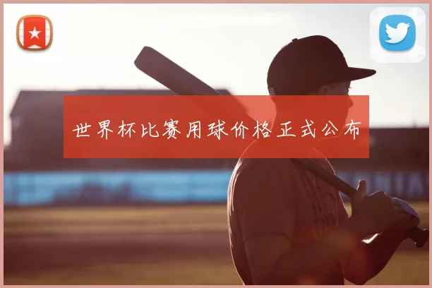 世界杯比赛用球价格正式公布
