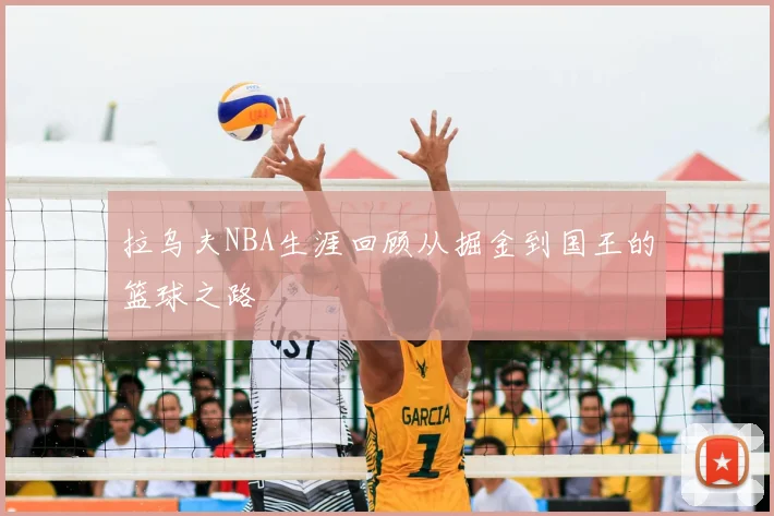 拉乌夫NBA生涯回顾从掘金到国王的篮球之路