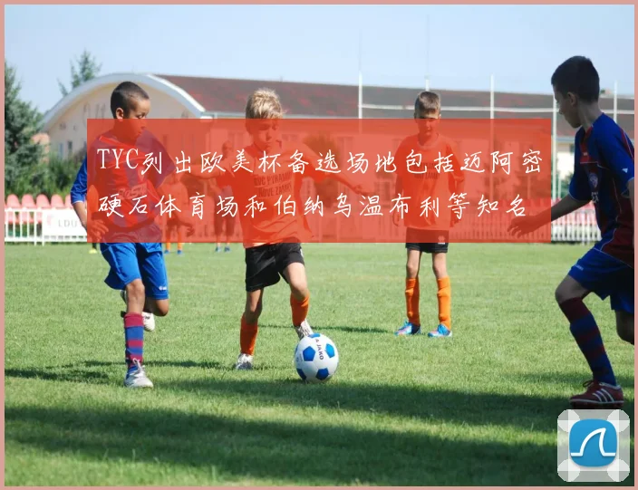 TYC列出欧美杯备选场地包括迈阿密硬石体育场和伯纳乌温布利等知名场馆
