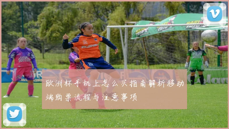 欧洲杯手机上怎么买指南解析移动端购票流程与注意事项