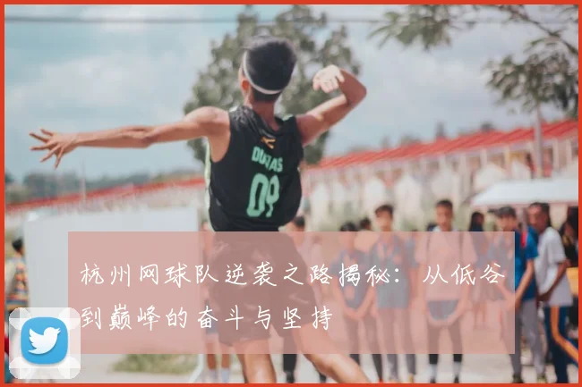 杭州网球队逆袭之路揭秘：从低谷到巅峰的奋斗与坚持