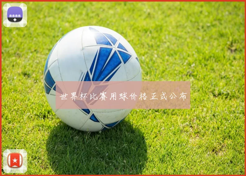 世界杯比赛用球价格正式公布