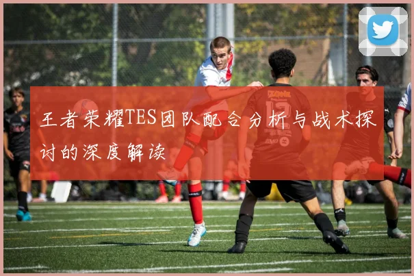 王者荣耀TES团队配合分析与战术探讨的深度解读